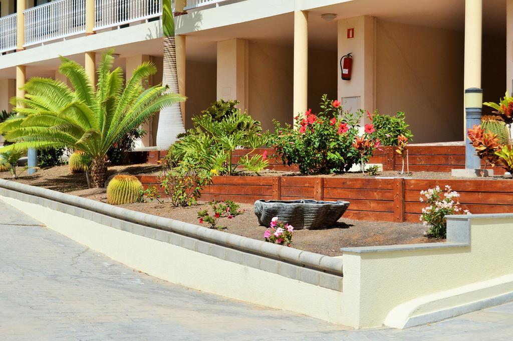 Apartamentos Natural Park Porto Rico Extérieur photo